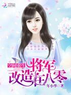 将军改造在八零txt