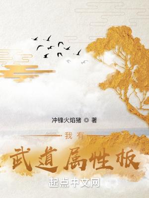 我有武学面板