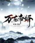 夜玄庭苏免费阅读无弹窗