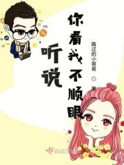 听说你看不见我txt