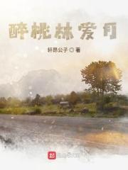 醉桃源歌词