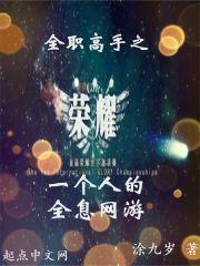 全职高手全息游戏