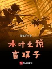 火影忍者之命运双子