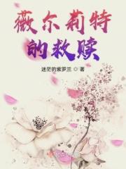 薇尔莉特讲了什么