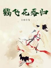 鹤飞的意思是什么