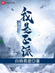 我真的是正派TXT奇书网