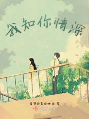 你知我情深全文