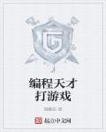 编程天才的电视剧