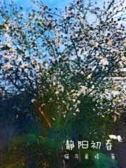 暮阳初春的