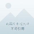 未知降临我有无敌领域境界境界介绍