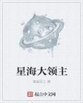 星海领主 txt