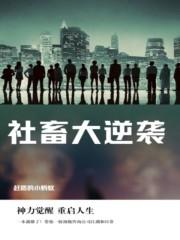 社畜君的