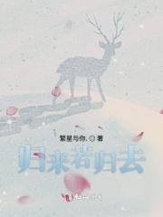 归来归去是什么意思
