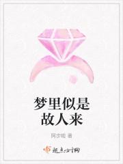 似是故人来歌词寓意
