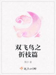 双飞鸟包包