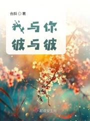与彼于此歌曲