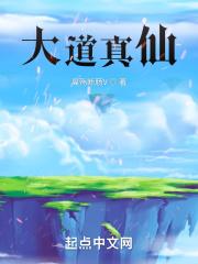 大道仙帝在都市完整版