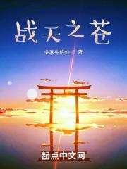 苍天之拳
