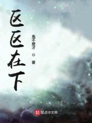 区区之间的意思