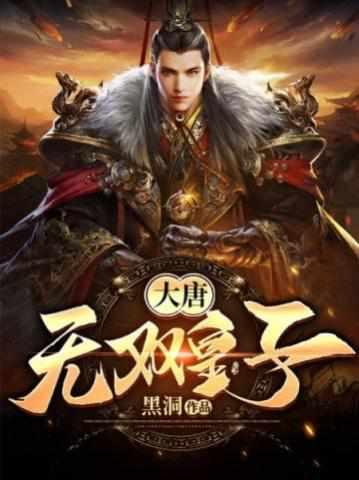 特种兵穿越大唐秦怀道的帝婿无双