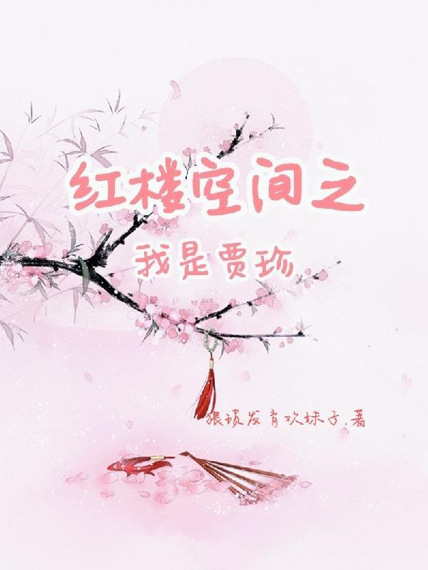 带着空间穿红楼七