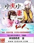 小夫人免费