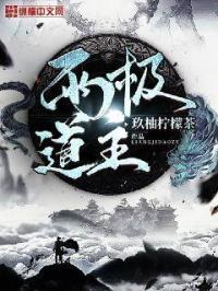 两极ns