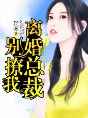 总裁离婚请别说爱