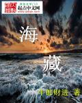 藏海花电视剧