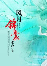 风月锦囊齐家最后怎么了