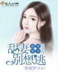 霸宠甜妻日常