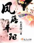 凤落平阳番外