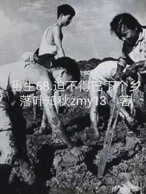 迫不得已下个乡主角叫洛城