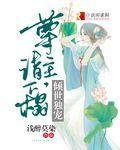倾世独宠 娘娘又出宫了
