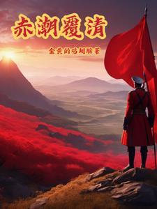 赤潮覆清TXT免费