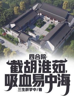 农村养老四合院