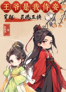 16本灵魂互换的