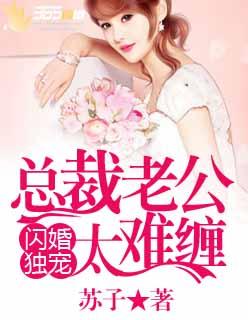 闪婚独宠总裁老公太缠人