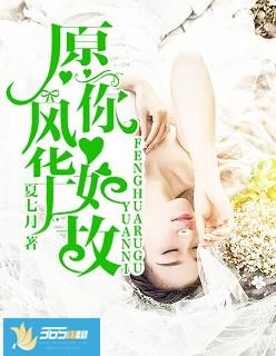 愿你风华如故txt