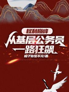 权力巅峰从基层公务员开始王鸿涛免费阅读全文