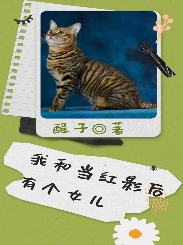 (快穿)我和影后有个约会