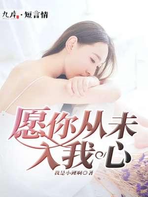 可我从未走入你心里