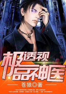 极品透视神医叶枫全文阅读