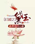 红楼之黛玉有个现代的哥哥