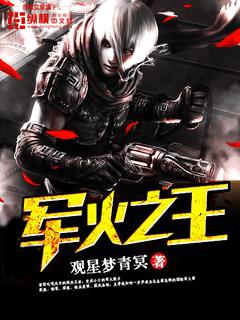 军火之王电影国语