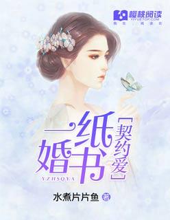 一纸婚书 txt