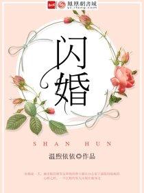 闪婚是啥意思