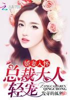 娇妻入怀总裁老公夜里来
