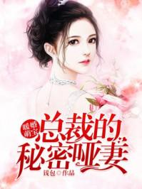 暖婚密爱神秘总裁宠上瘾