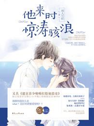 他来时惊涛骇浪讲的是什么